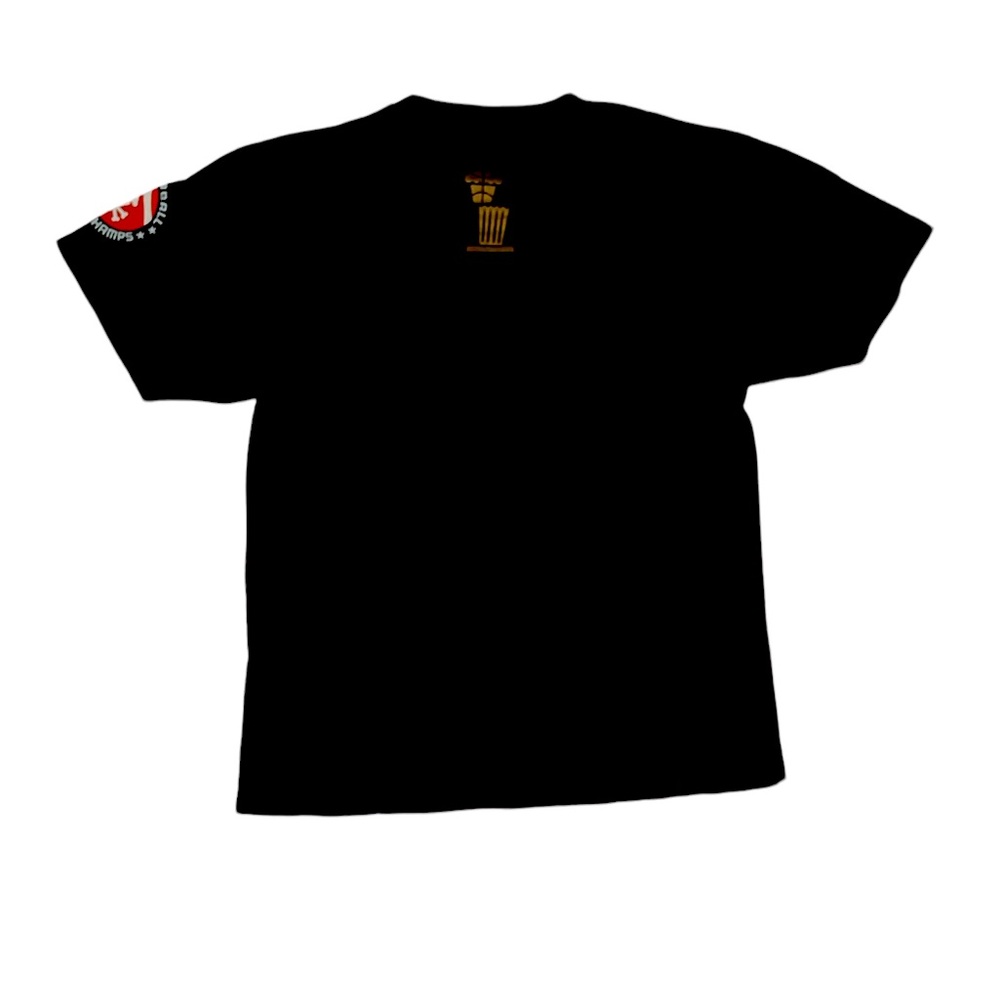 RARE JOHNNY CUPCAKES X RAPTORS CHAMPIONSHIP PRINT TEE - Picture 2 of 3